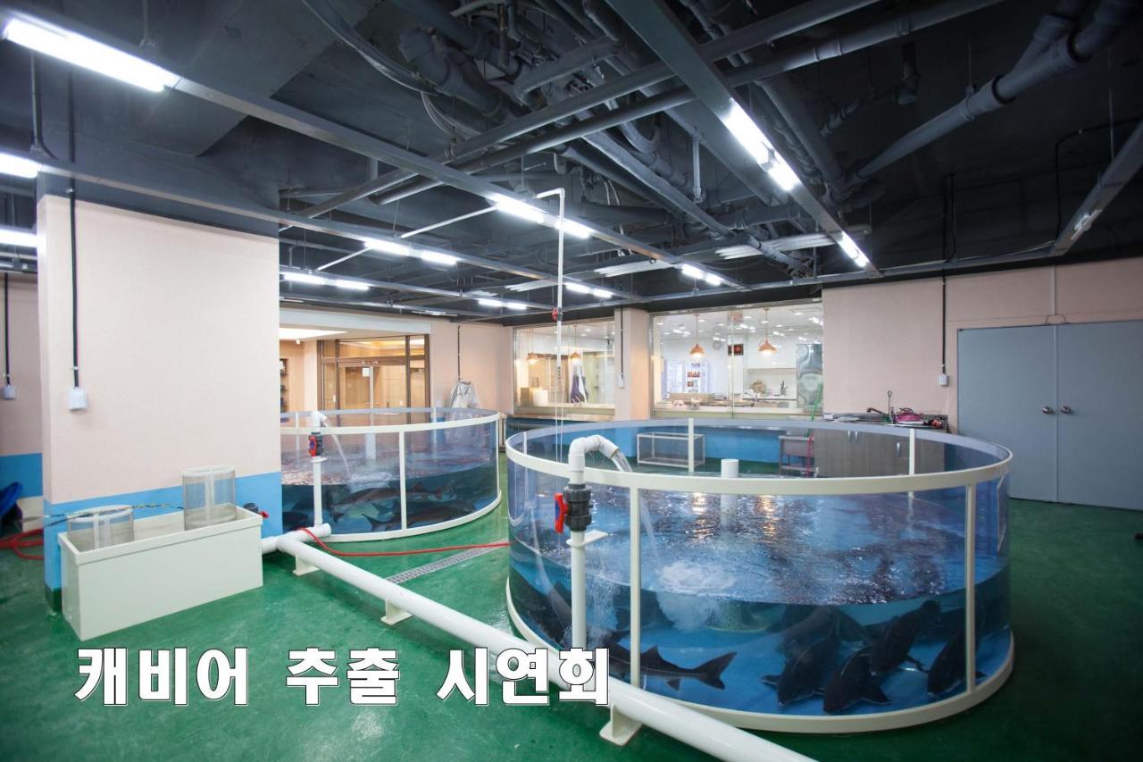 Cheongpyeong Family Hotel Gapyeong Exteriör bild